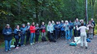 Lokkeduene i Korketrekkeren 21/9/17